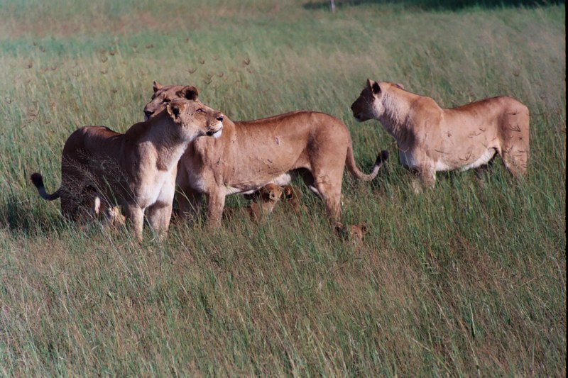 South Africa Photo Gallery